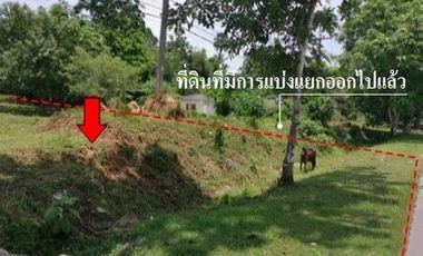 For sale land in Mueang Trang, Trang