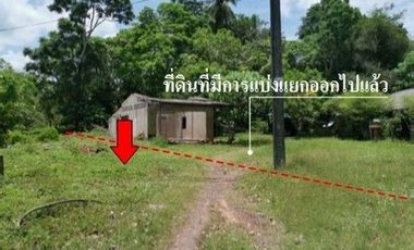 For sale land in Mueang Trang, Trang