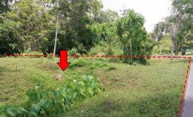 For sale land in Mueang Trang, Trang