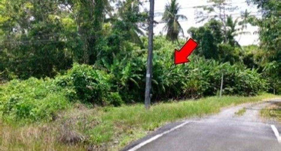 For sale land in Mueang Trang, Trang