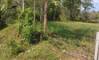 For sale land in Mueang Trang, Trang