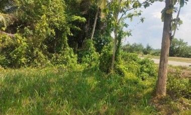 For sale land in Mueang Trang, Trang