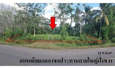 For sale land in Mueang Trang, Trang