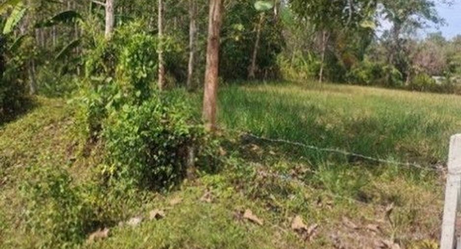 For sale land in Mueang Trang, Trang