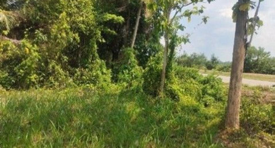 For sale land in Mueang Trang, Trang