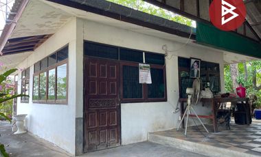 Grundstück zum Kauf in Nong Ruea, Khon Kaen
