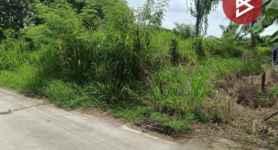 For sale land in Phan Thong, Chonburi