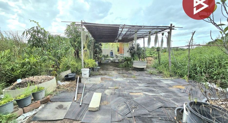 For sale land in Phra Samut Chedi, Samut Prakan