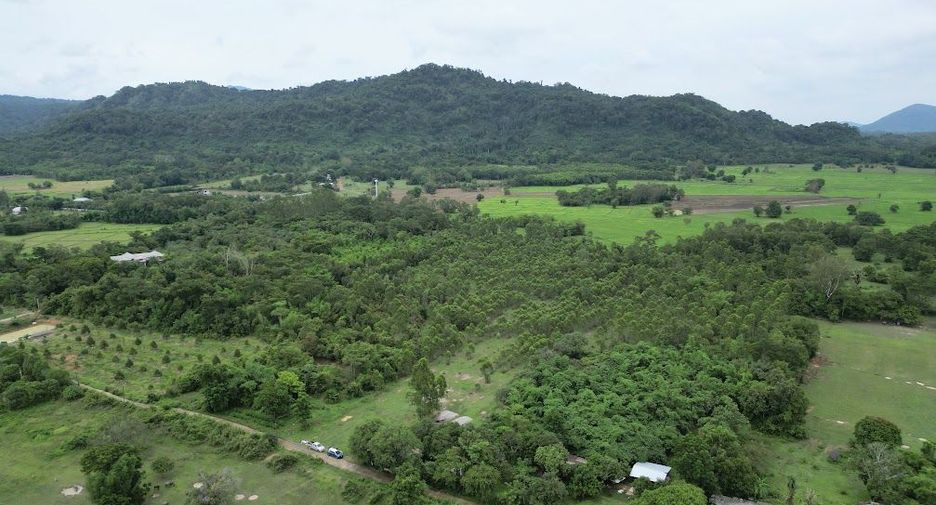 出售 土地 在 Pak Phli, Nakhon Nayok