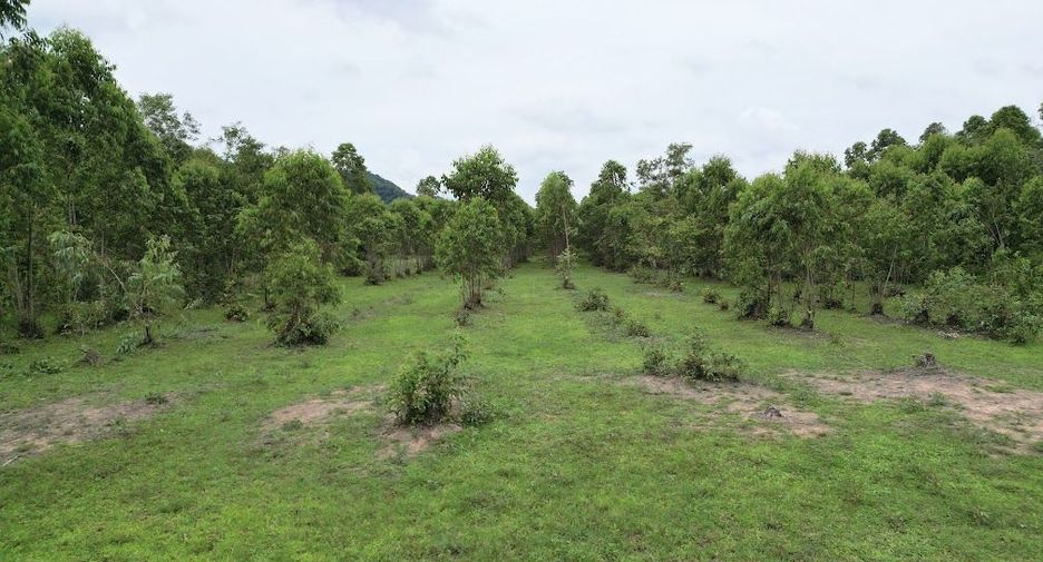 出售 土地 在 Pak Phli, Nakhon Nayok