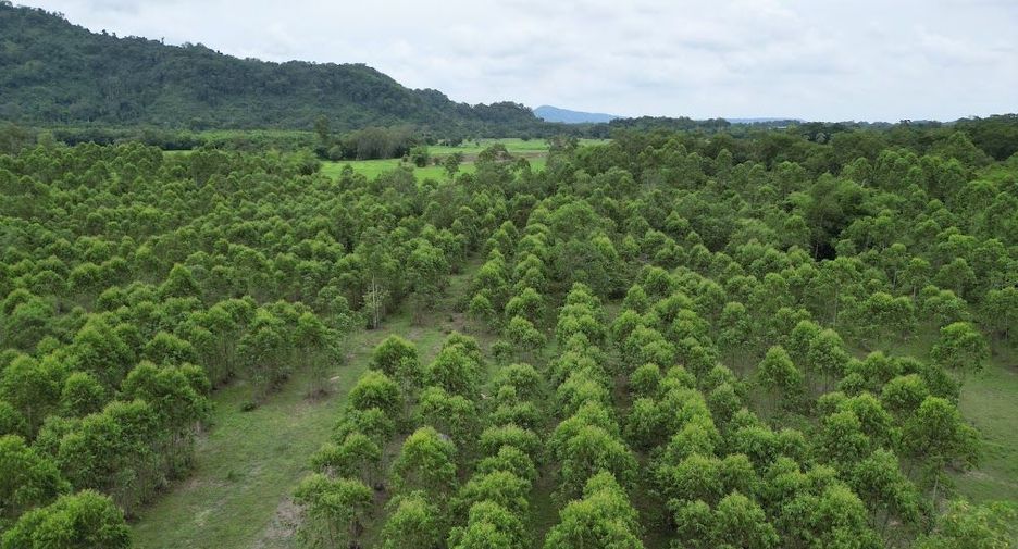 出售 土地 在 Pak Phli, Nakhon Nayok