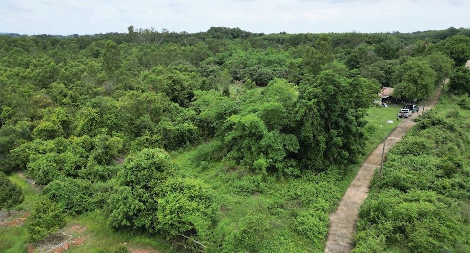 出售 土地 在 Pak Phli, Nakhon Nayok
