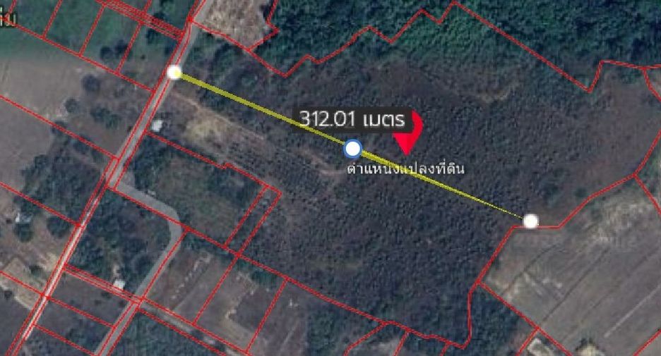出售 土地 在 Pak Phli, Nakhon Nayok