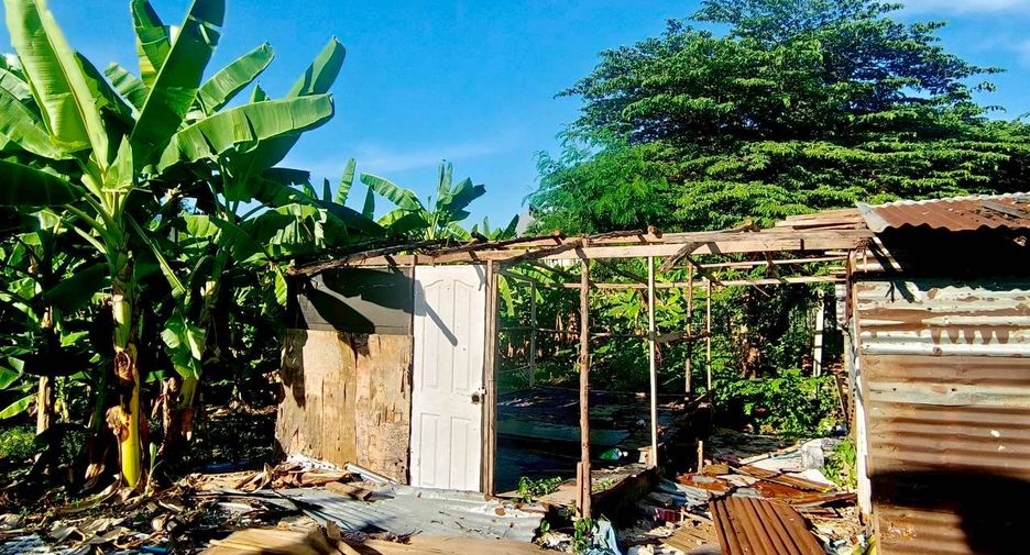 For sale land in Nong Khaem, Bangkok