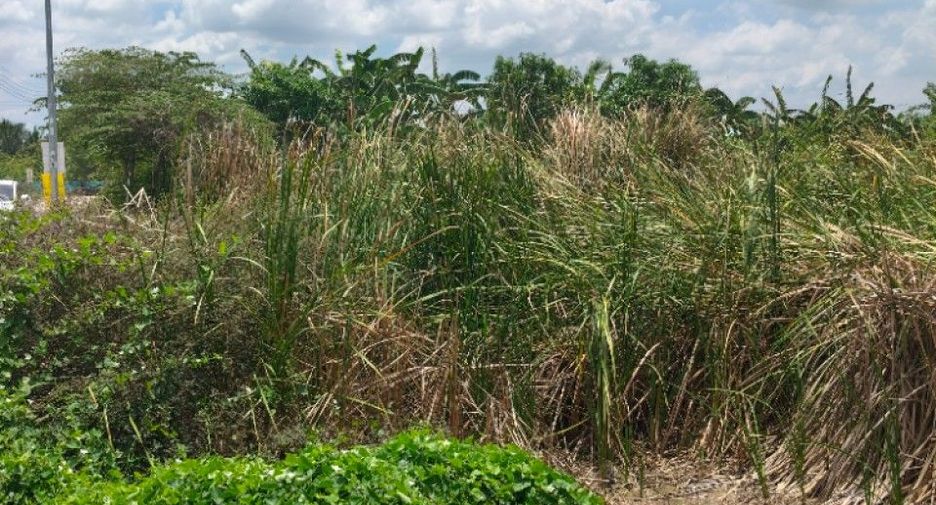 For sale land in Bang Sao Thong, Samut Prakan