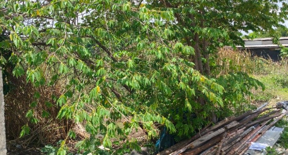 For sale land in Bang Sao Thong, Samut Prakan