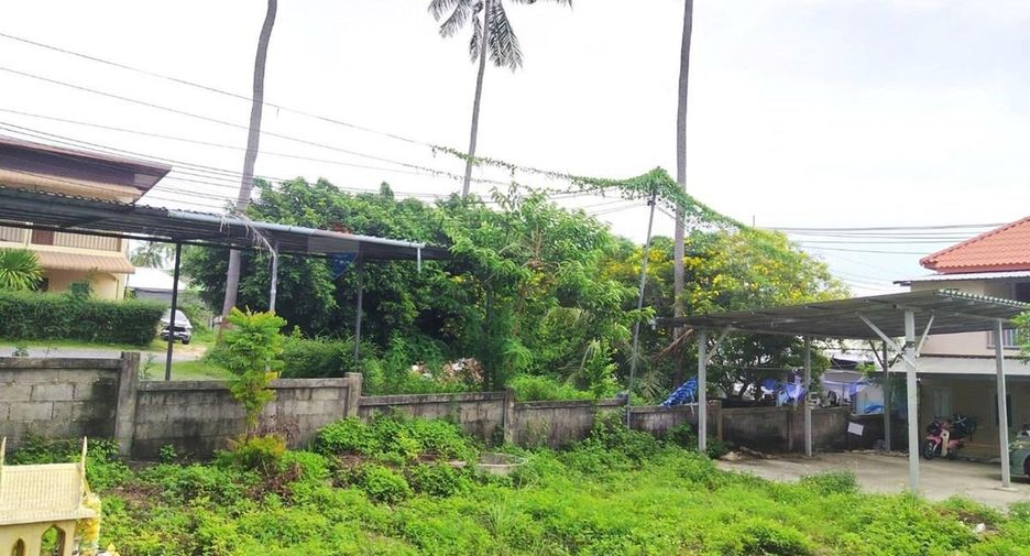 ขาย ที่ดิน ใน เกาะสมุย, สุราษฎร์ธานี