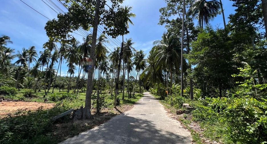 ขาย ที่ดิน ใน เกาะสมุย, สุราษฎร์ธานี