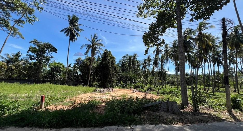 ขาย ที่ดิน ใน เกาะสมุย, สุราษฎร์ธานี