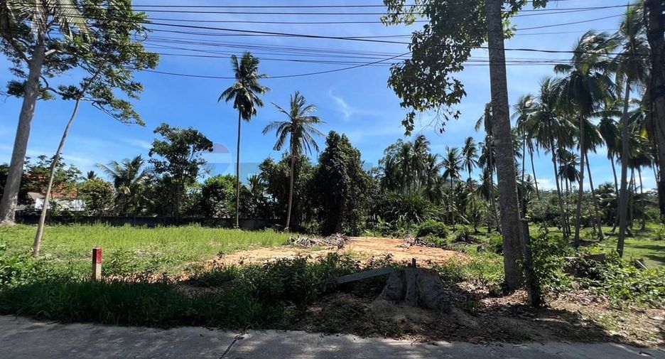 ขาย ที่ดิน ใน เกาะสมุย, สุราษฎร์ธานี