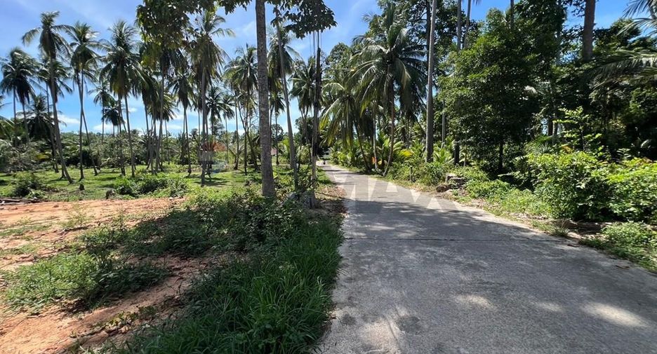 ขาย ที่ดิน ใน เกาะสมุย, สุราษฎร์ธานี