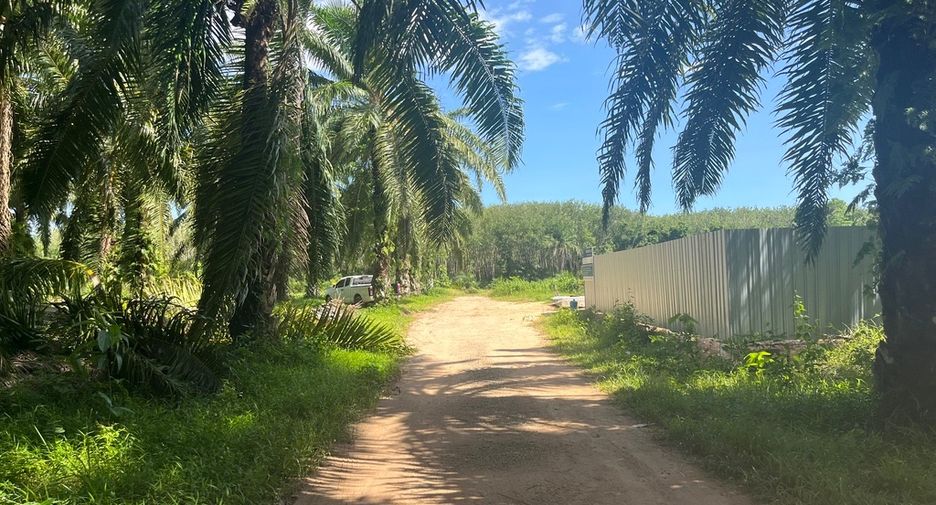 ขาย ที่ดิน ใน เมืองกระบี่, กระบี่