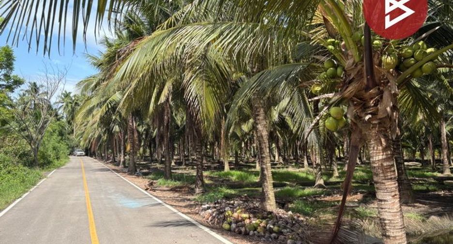 For sale land in Bang Khonthi, Samut Songkhram