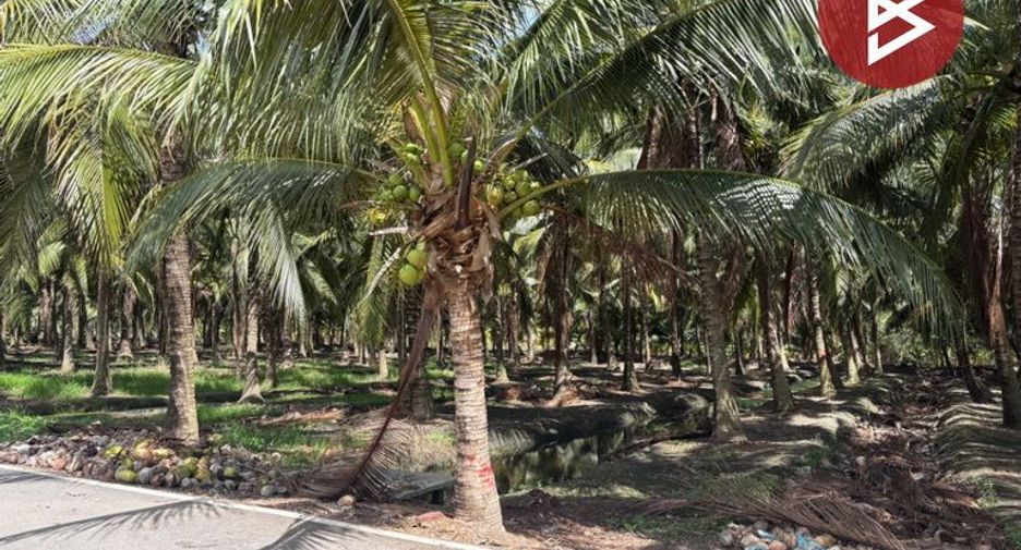 For sale land in Bang Khonthi, Samut Songkhram