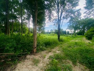 出售 土地 在 Ban Bueng, Chon Buri