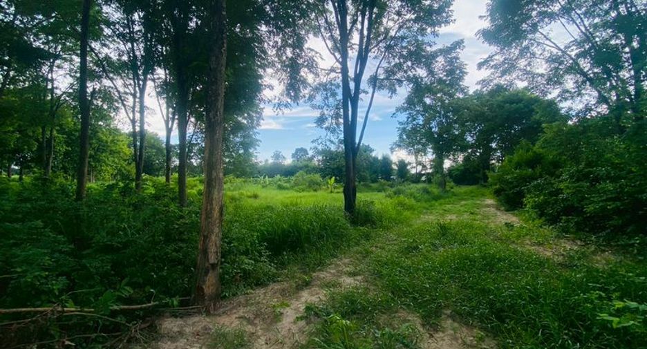 出售 土地 在 Ban Bueng, Chon Buri