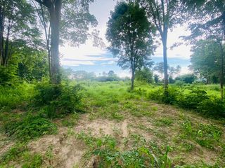 出售 土地 在 Ban Bueng, Chon Buri
