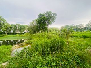 出售 土地 在 Ban Bueng, Chon Buri