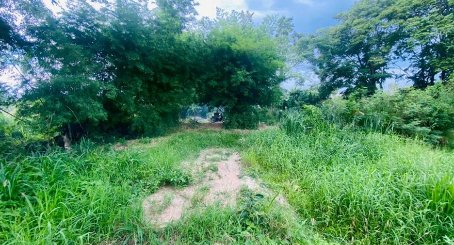 出售 土地 在 Ban Bueng, Chon Buri