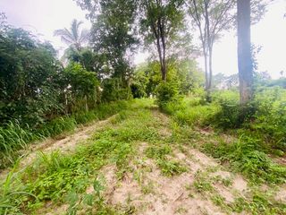 出售 土地 在 Ban Bueng, Chon Buri