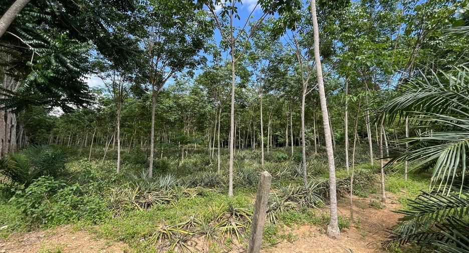 Terreno en venta en Mueang Krabi, Krabi