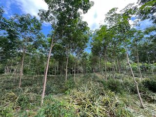 Terreno en venta en Mueang Krabi, Krabi
