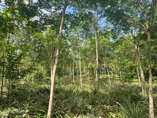 Terreno en venta en Mueang Krabi, Krabi