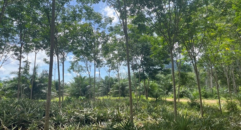Terreno en venta en Mueang Krabi, Krabi
