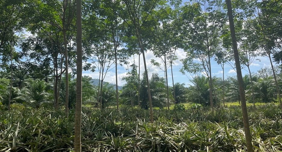 Terreno en venta en Mueang Krabi, Krabi