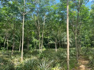 Terreno en venta en Mueang Krabi, Krabi
