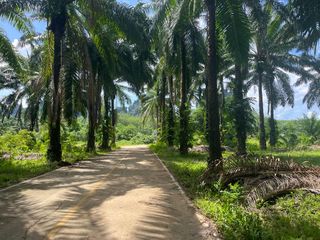 Terreno en venta en Mueang Krabi, Krabi