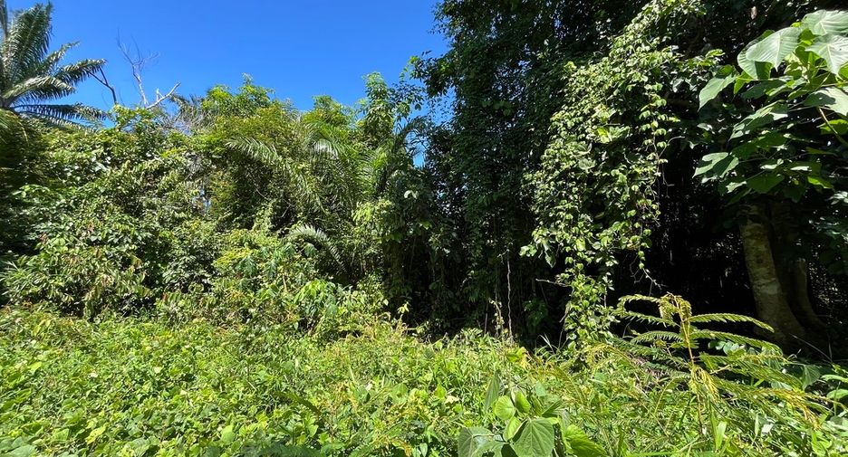 Terreno en venta en Mueang Krabi, Krabi