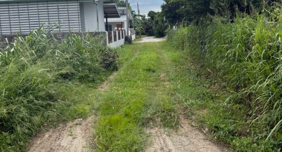 ขาย ที่ดิน ใน สันป่าตอง, เชียงใหม่