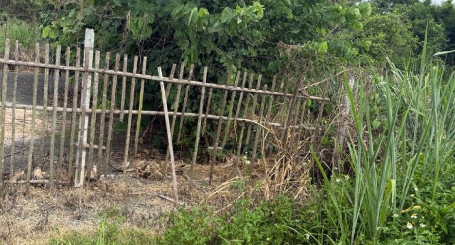ขาย ที่ดิน ใน สันป่าตอง, เชียงใหม่
