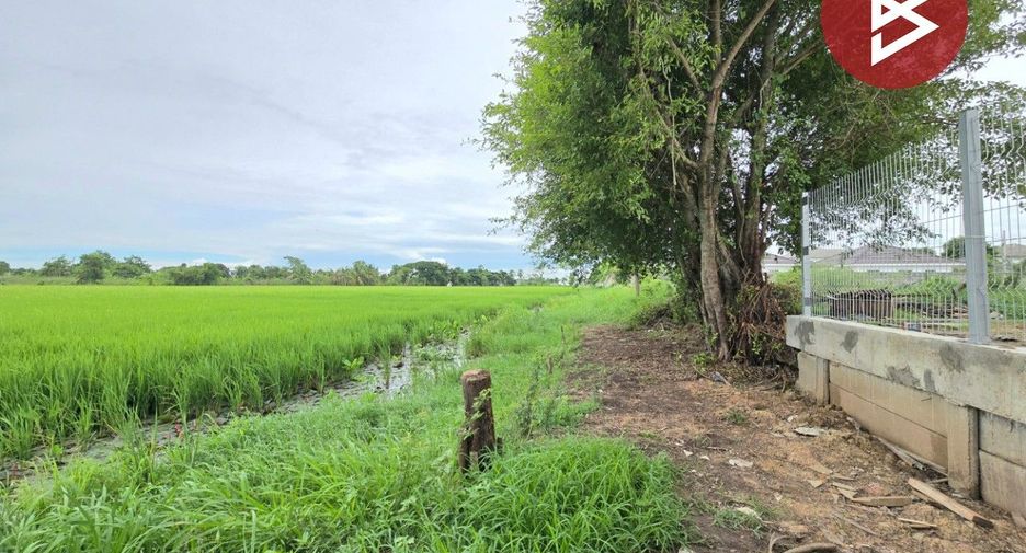ขาย ที่ดิน ใน หนองจอก, กรุงเทพฯ
