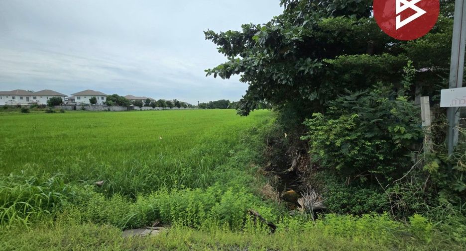 ขาย ที่ดิน ใน หนองจอก, กรุงเทพฯ