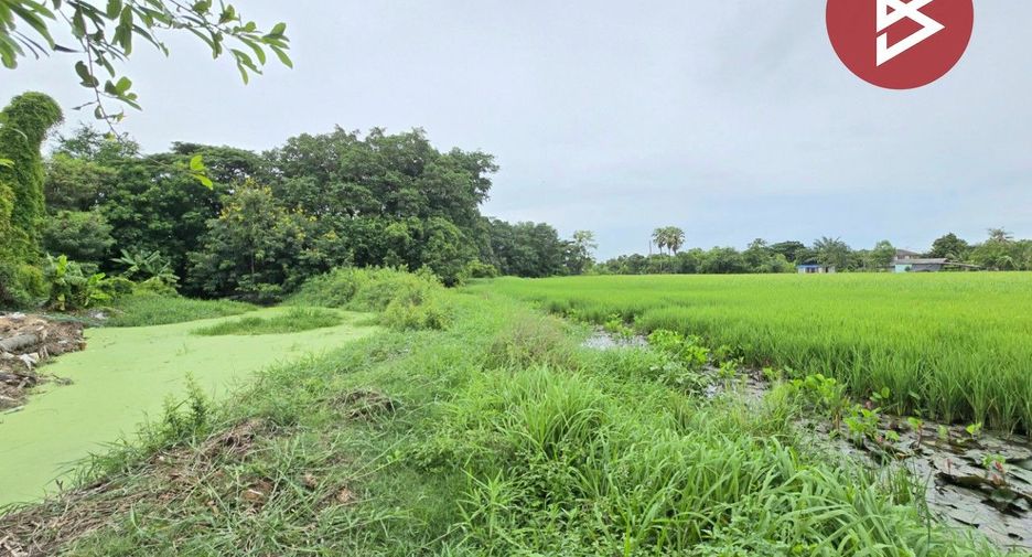 ขาย ที่ดิน ใน หนองจอก, กรุงเทพฯ