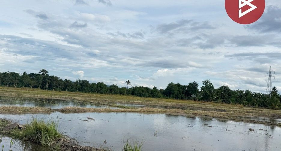 For sale land in Mueang Lamphun, Lamphun