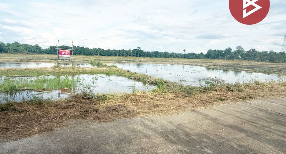For sale land in Mueang Lamphun, Lamphun