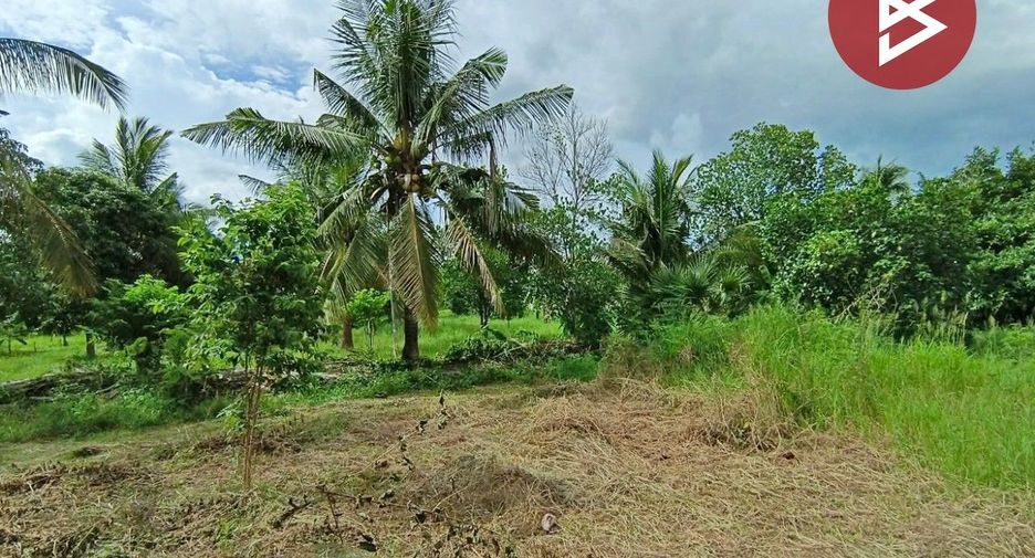 ขาย ที่ดิน ใน ปราณบุรี, ประจวบคีรีขันธ์